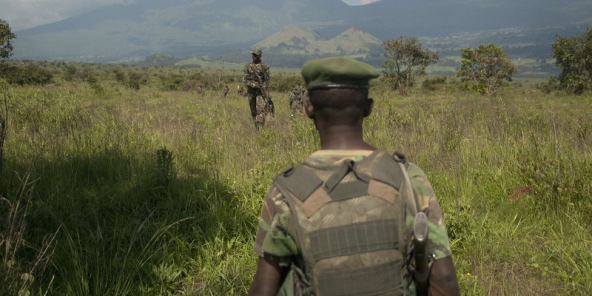 RDC – Beni : Une nouvelle violence ADF fait 19 morts, 40 maisons brûlées et des disparus à Baeti