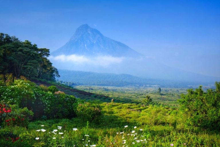 RDC – Beni : 29 personnes périssent dans un massacre odieux attribué aux ADF en plein parc national des Virunga