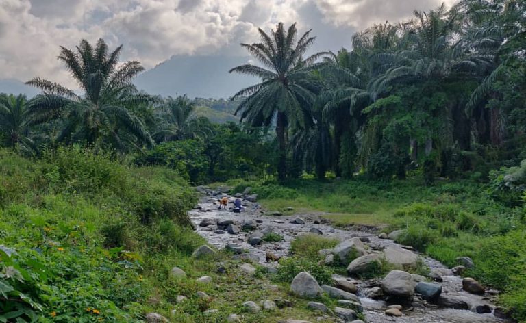 RDC – Beni : Un homme retrouvé mort sur les eaux de la rivière Mangato