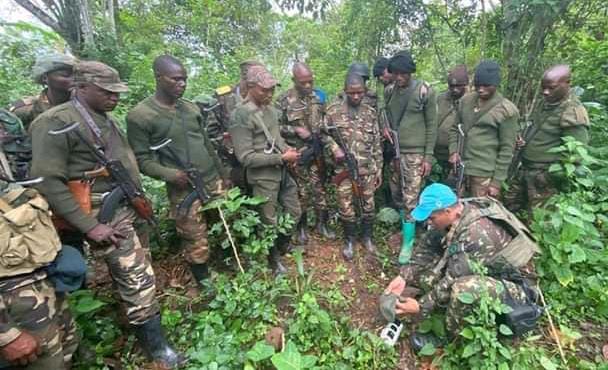 Tueries à Beni et Ituri : Un député dénonce le “délaissement” des soldats FARDC engagés au front