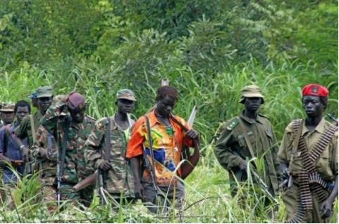 RDC – Beni : 7 civils tués dans une nouvelle incursion armée à Ruwenzori