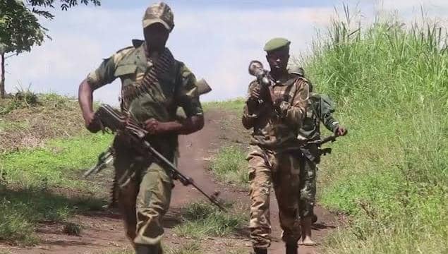 RDC – Beni : Des civils assimilés aux Maï-Maï par les FARDC à Ruwenzori, voici la réaction de la société civile